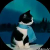 janilsonrodrigue85