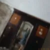 magalisantomartino