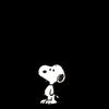 ilz_2304