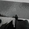 illvii2