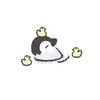 B6oo6🦆✨
