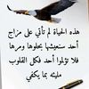 user53703170785013