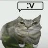 elpapuxdlal