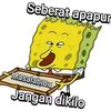 idnpc12