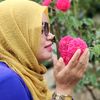 nsmnajiha