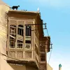 عثمان الصياد