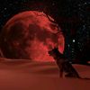 redmoon.black