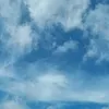 envit