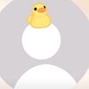 lin_lin3631