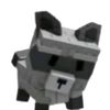 racoon_58
