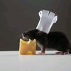 blackmoneythesqueaker