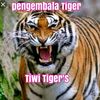tigerrr0812