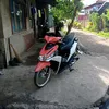 kopal247