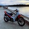 f1zr_lion