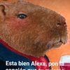 hecthor_2000