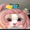asukabeh782