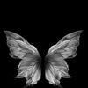 dhrynn_