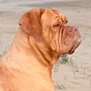 lalunaamora