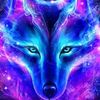 wicklowwolf55