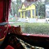 alip3907