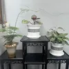 zinnguyen199