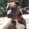 juanki.dober