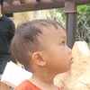 cuteq0446