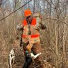 rabbitdawgs85