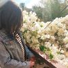 .shaimaahany