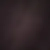 will_24536