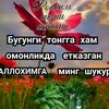 odinaxon.z