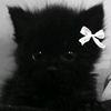 nori_love15