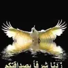abdalhafidh3