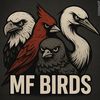 MFBIRDS