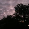 alan__713