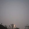 bitterswt08