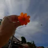 dih_portela
