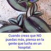 frasesemotivas2023