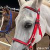essam87754