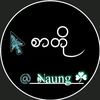 sartonaung1992006