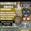 castrocoleccionista