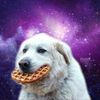srwaffleses