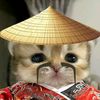 zir4u_
