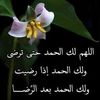 user524526702657
