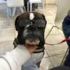 ares_thekingboxer