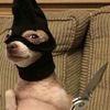 imavillainnotahero_