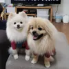 loki_mon_