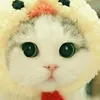 tiennguyenphuc011