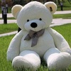 _your_teddy_6_