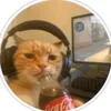 vinceeeeyyyyynt